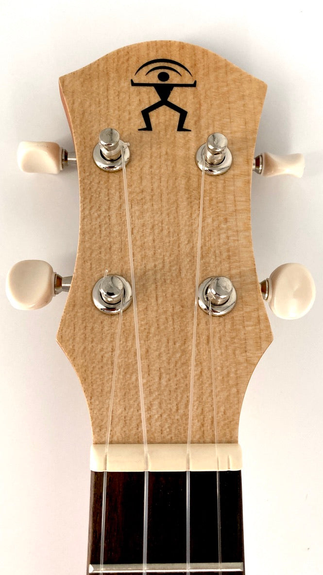 aNueNue UC-10 GG Concert