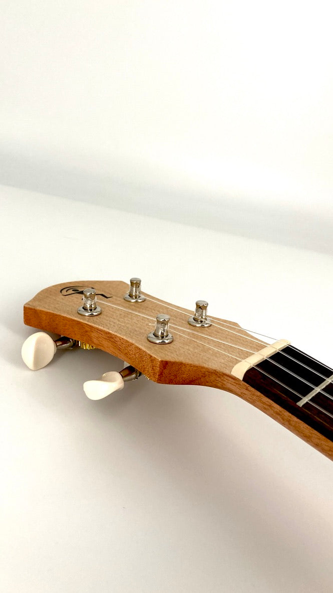 aNueNue UC-10 GG Concert