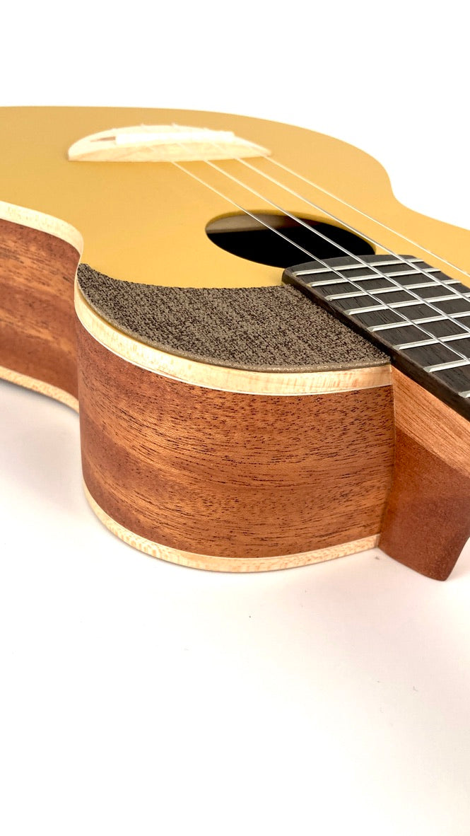 aNueNue UC-10 GG Concert