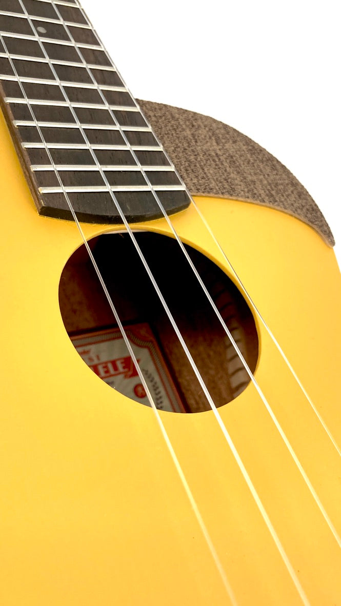 aNueNue UC-10 GG Concert