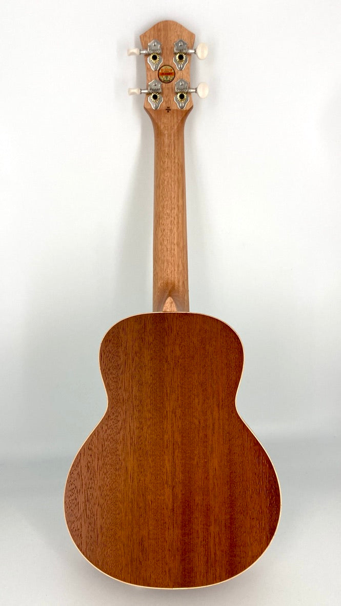 aNueNue UC-10 IG Concert