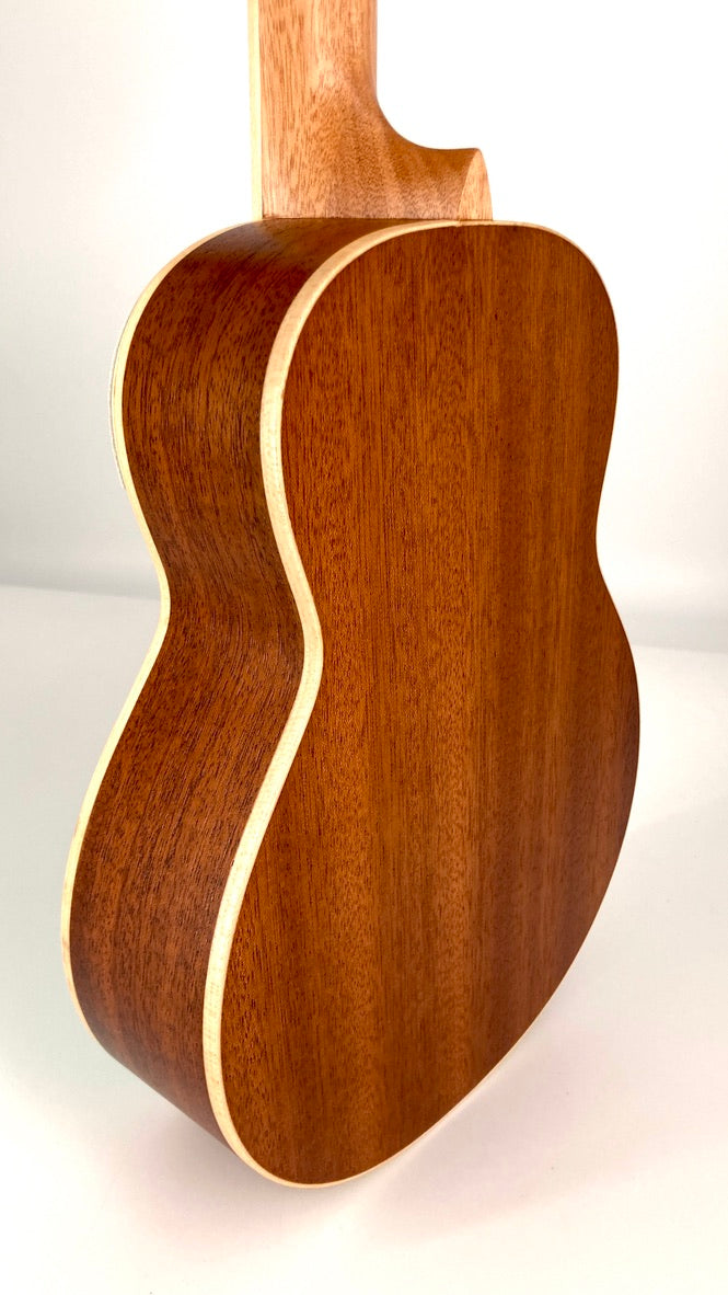 aNueNue UC-10 IG Concert