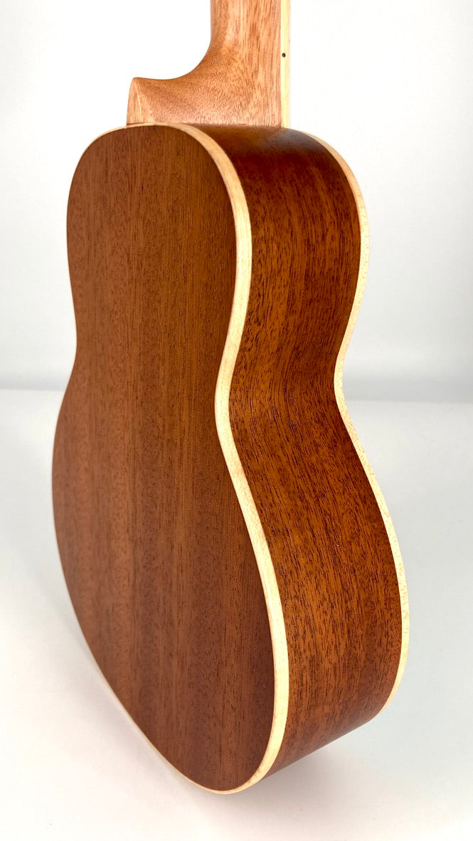 aNueNue UC-10 IG Concert