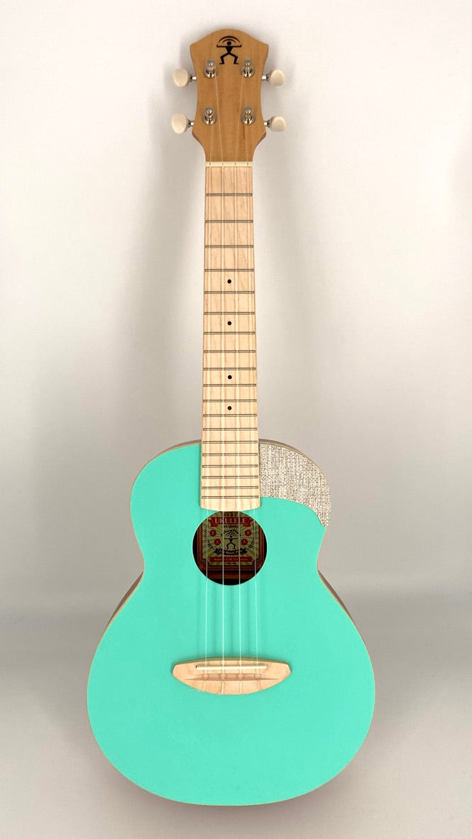 aNueNue UC-10 IG Concert