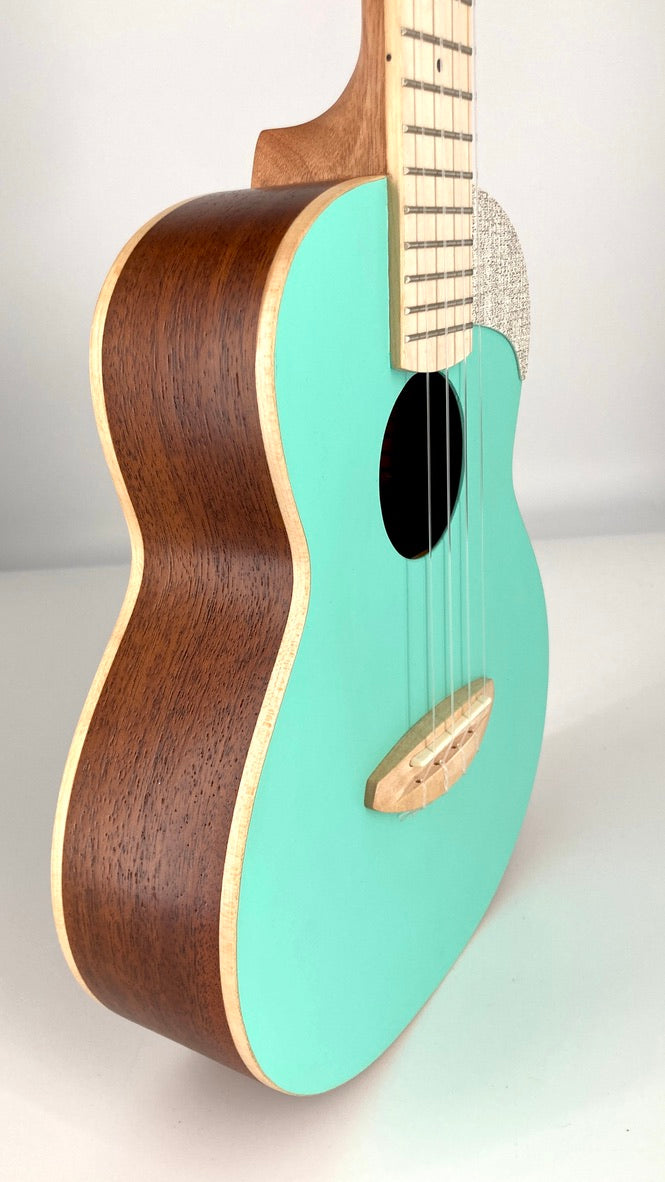 aNueNue UC-10 IG Concert