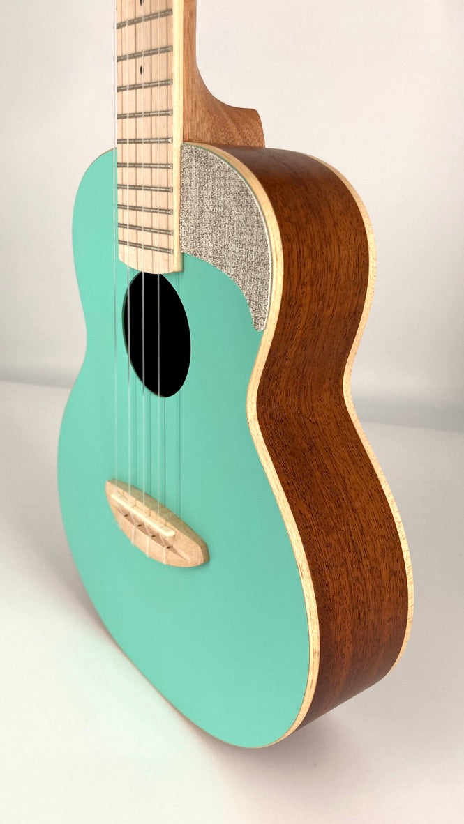 aNueNue UC-10 IG Concert