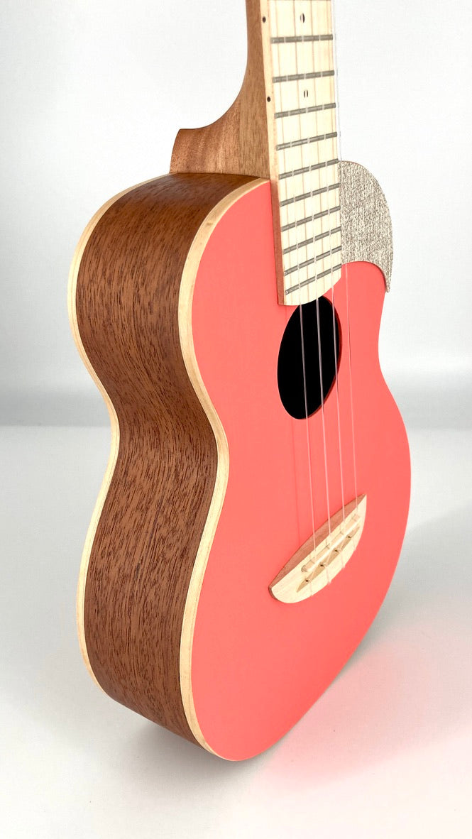 aNueNue UC-10 LC Concert