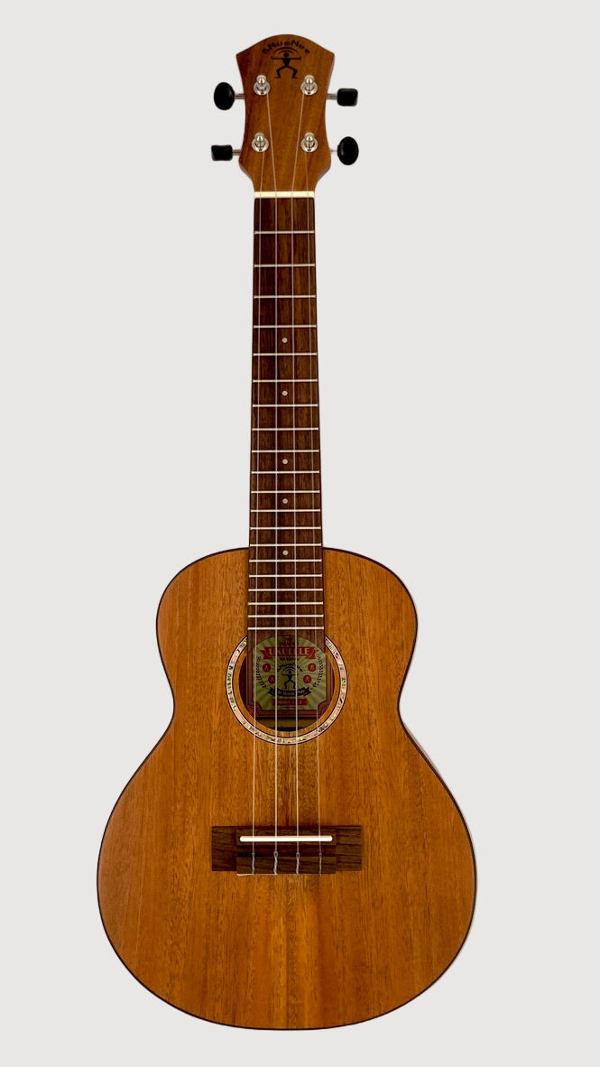 aNueNue C3 Concert