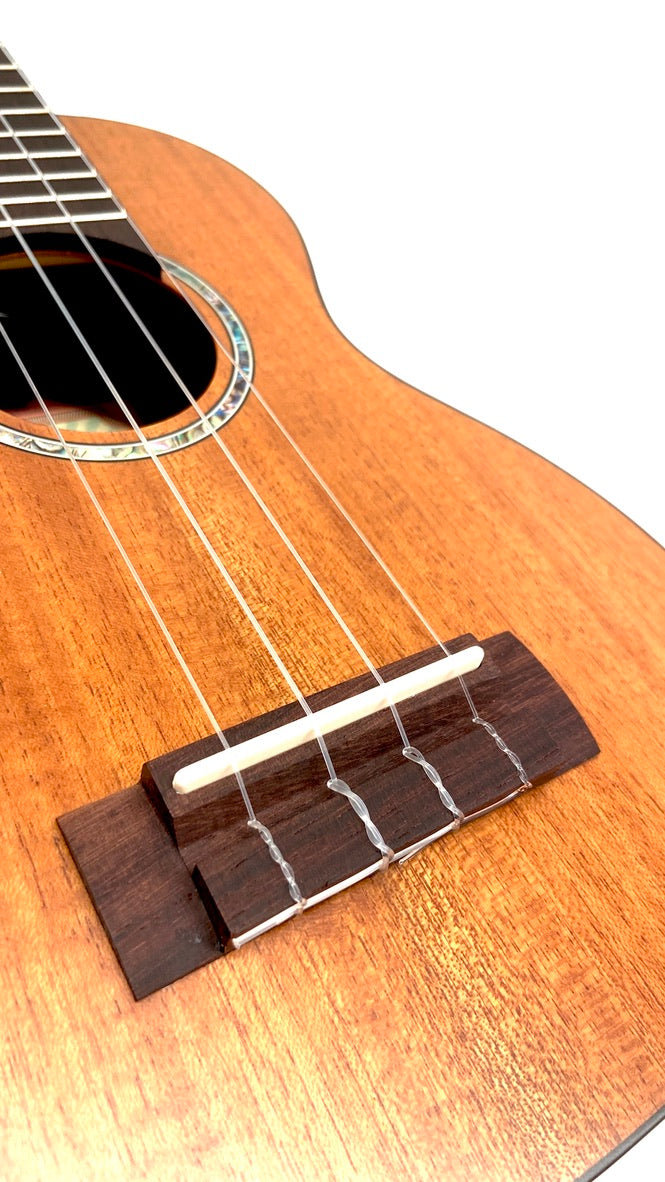 aNueNue S3E Sopran mit Pickup