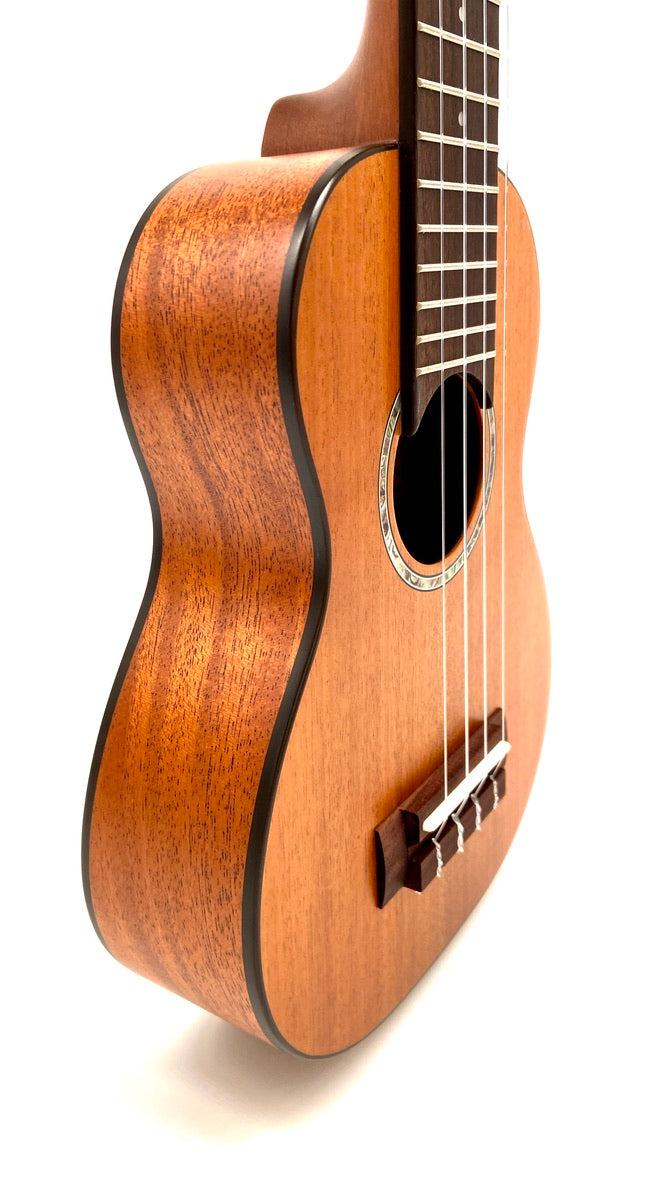 aNueNue S3E Sopran mit Pickup