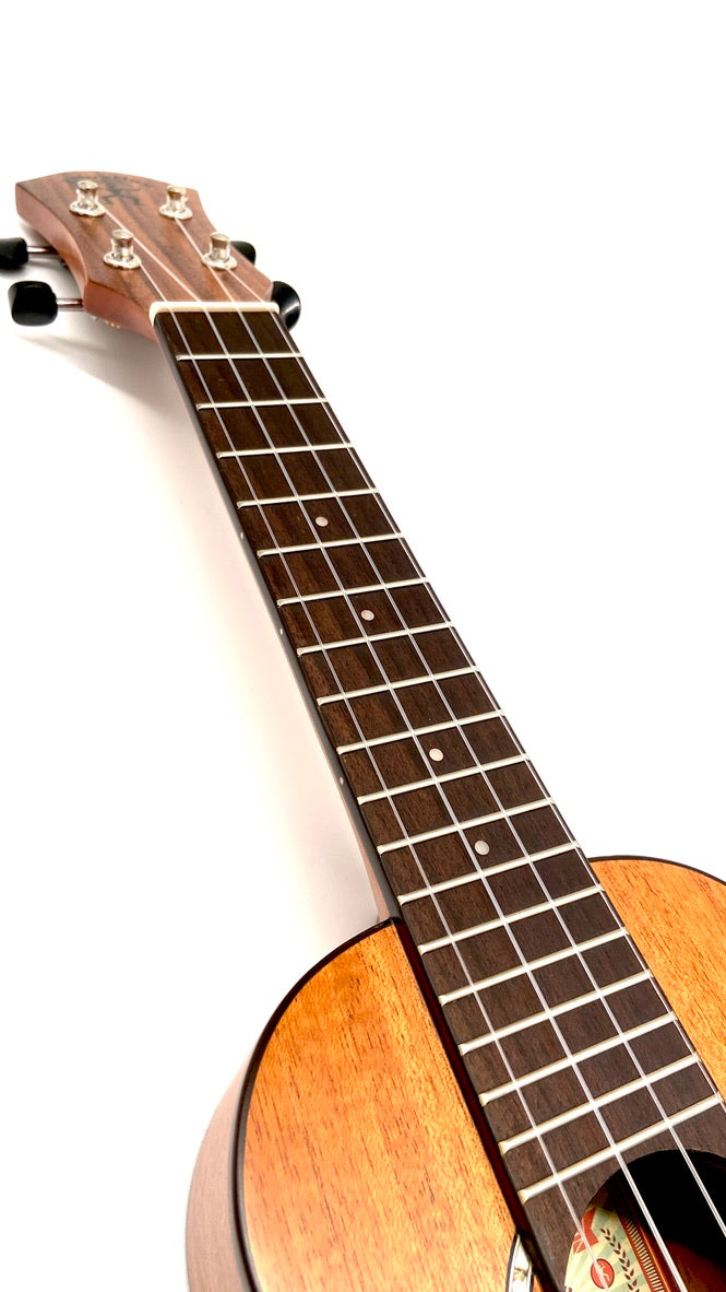 aNueNue S3E Sopran mit Pickup