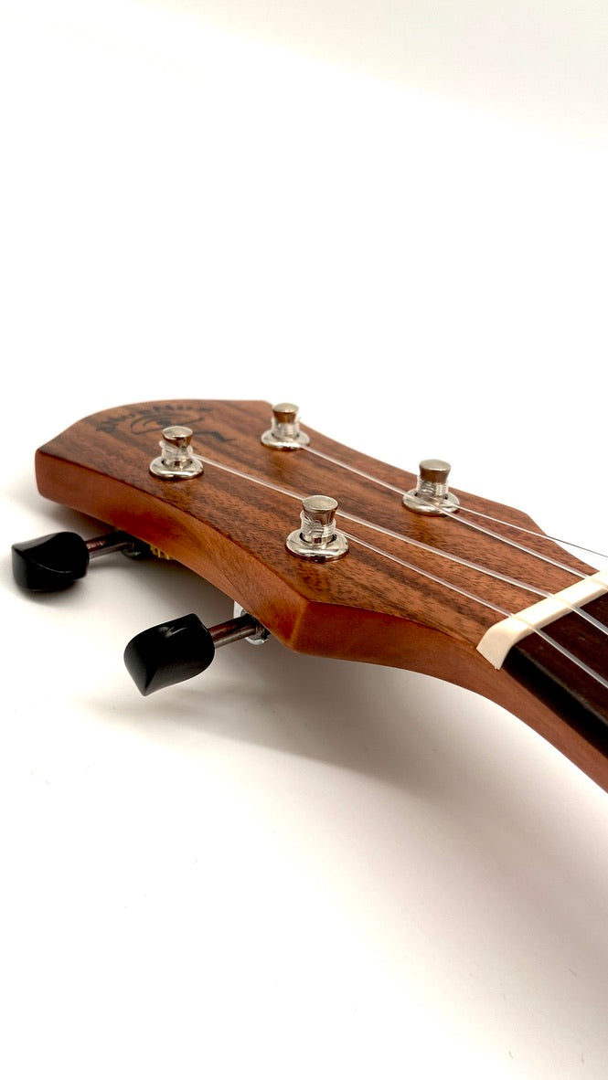 aNueNue S3E Sopran mit Pickup