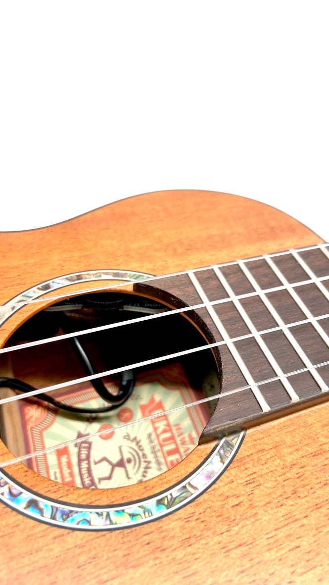 aNueNue S3E Sopran mit Pickup