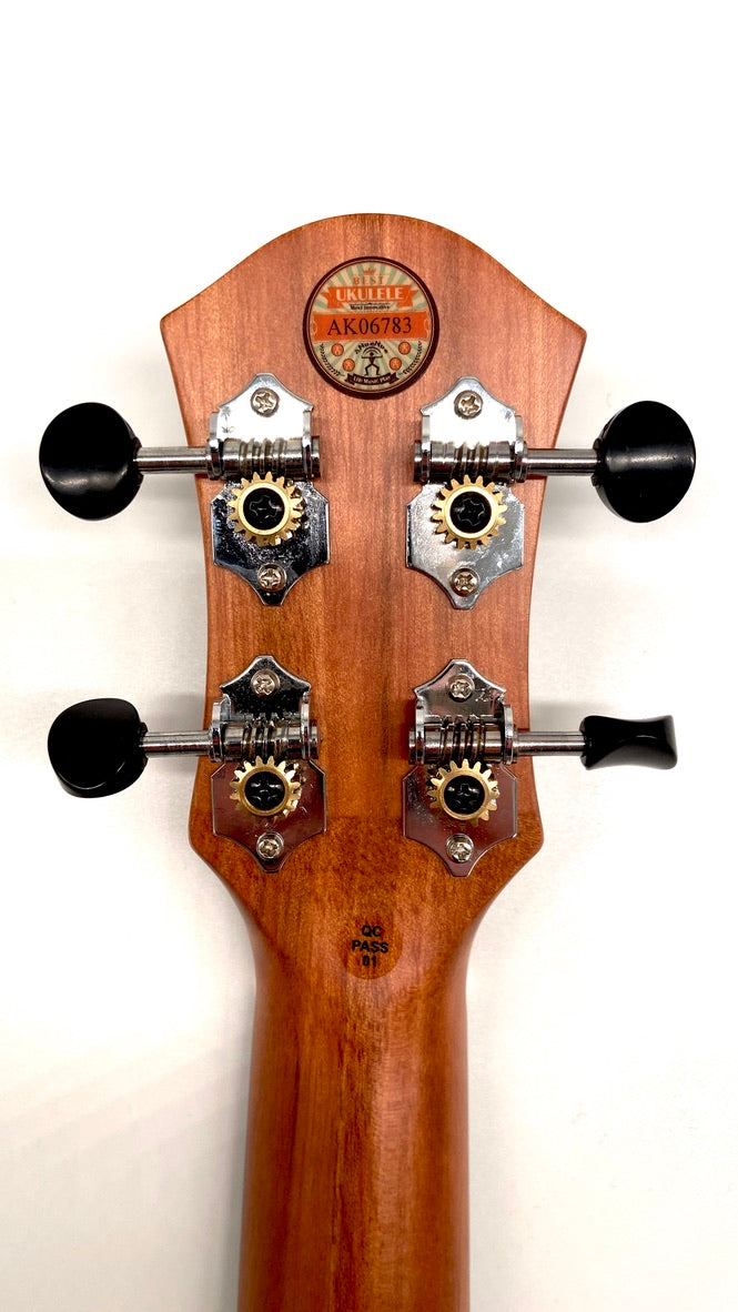 aNueNue S3E Sopran mit Pickup