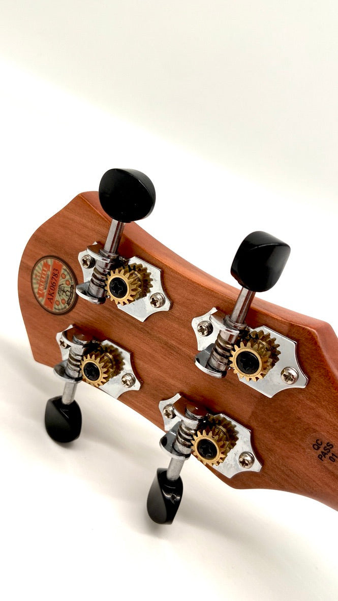 aNueNue S3E Sopran mit Pickup