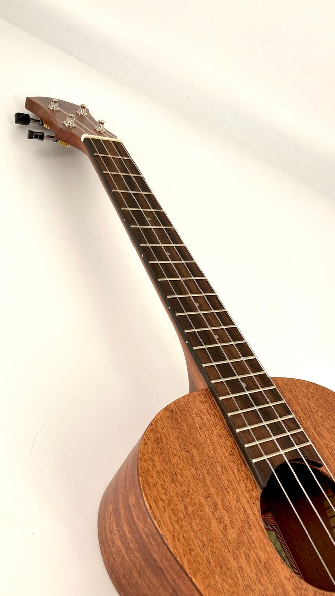 aNueNue U3 Tenor
