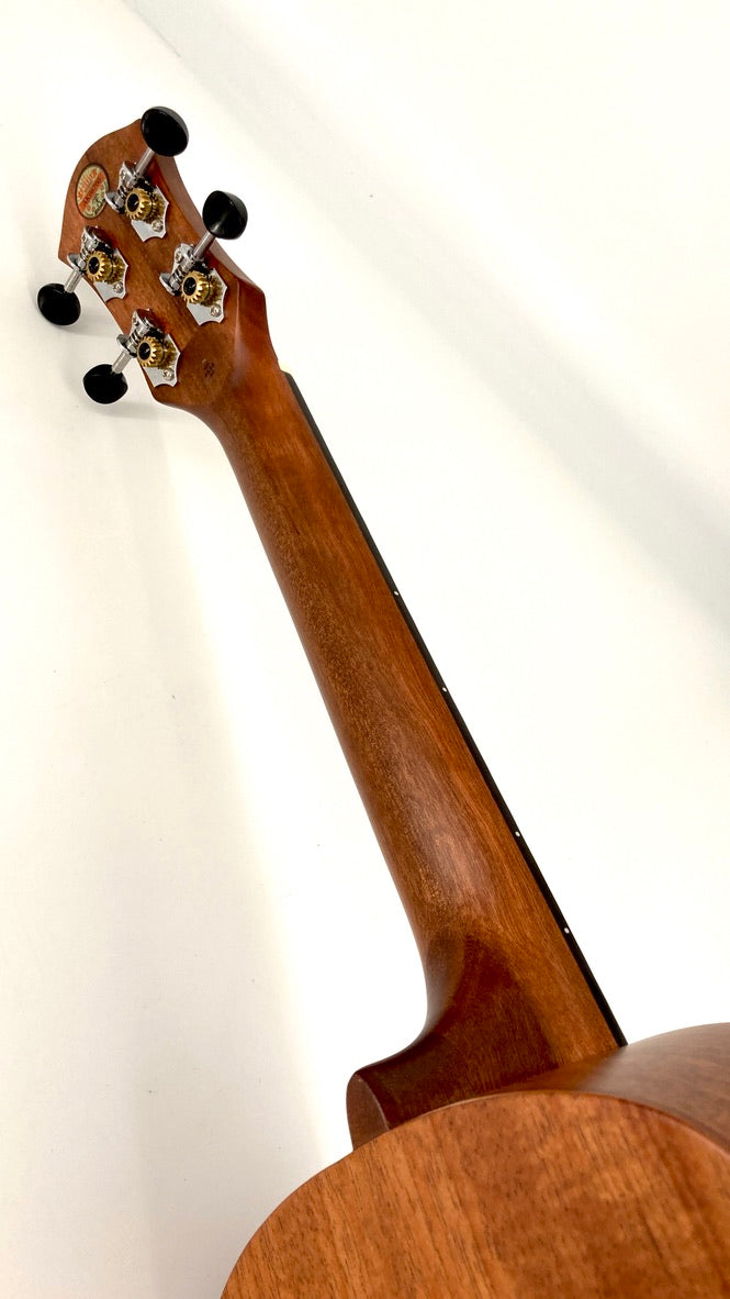 aNueNue U3 Tenor
