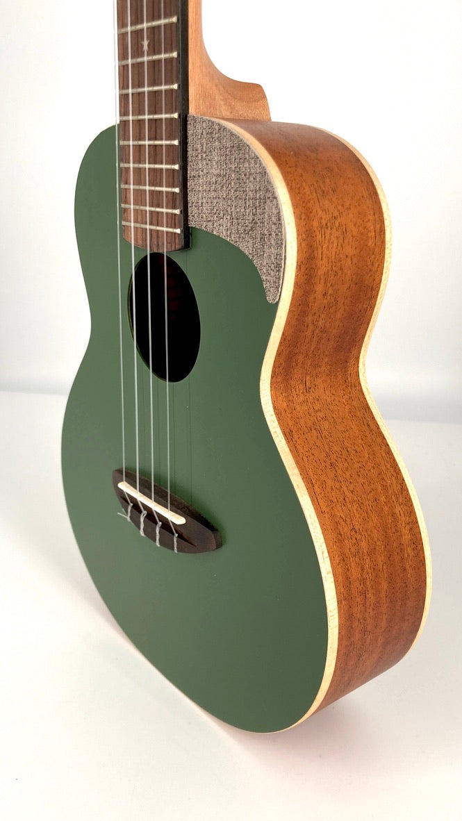aNueNue UC-10 BF Concert