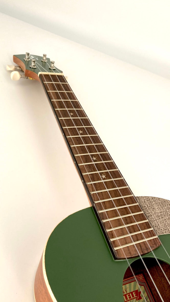 aNueNue UC-10 BF Concert