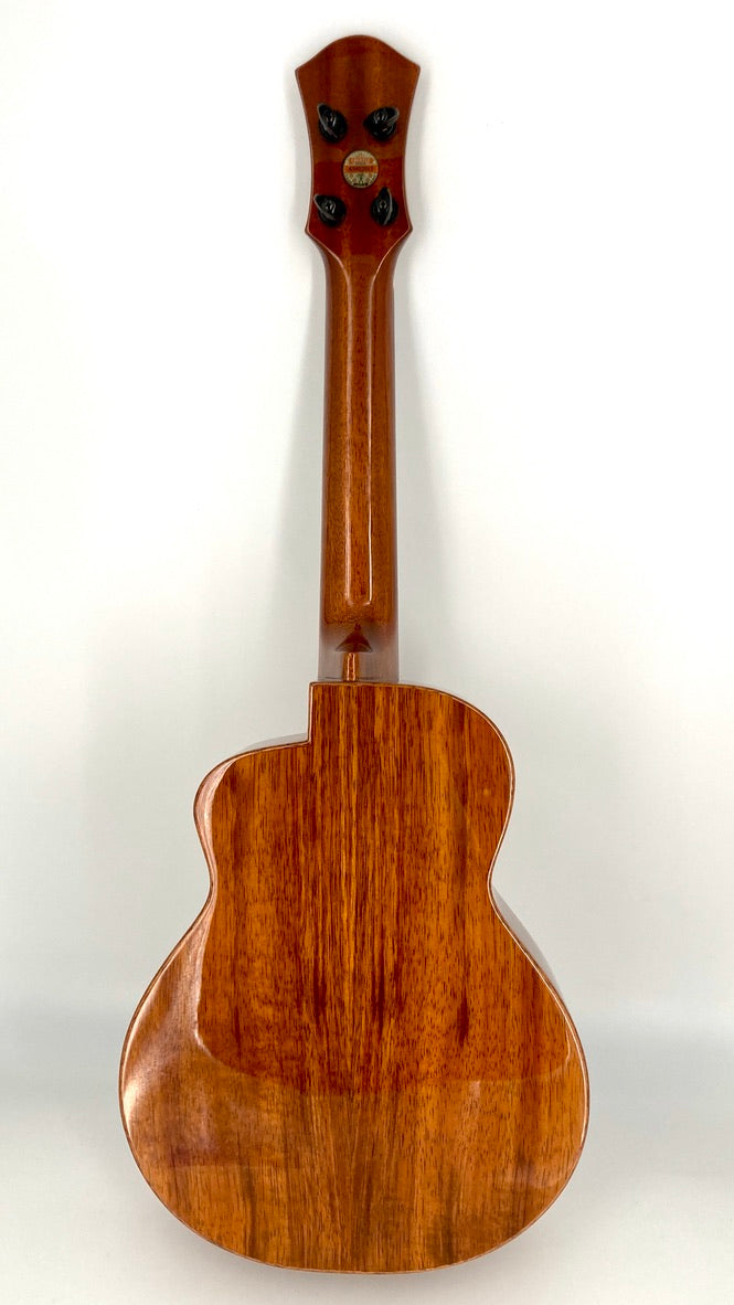 aNueNue UC1K Bird Concert