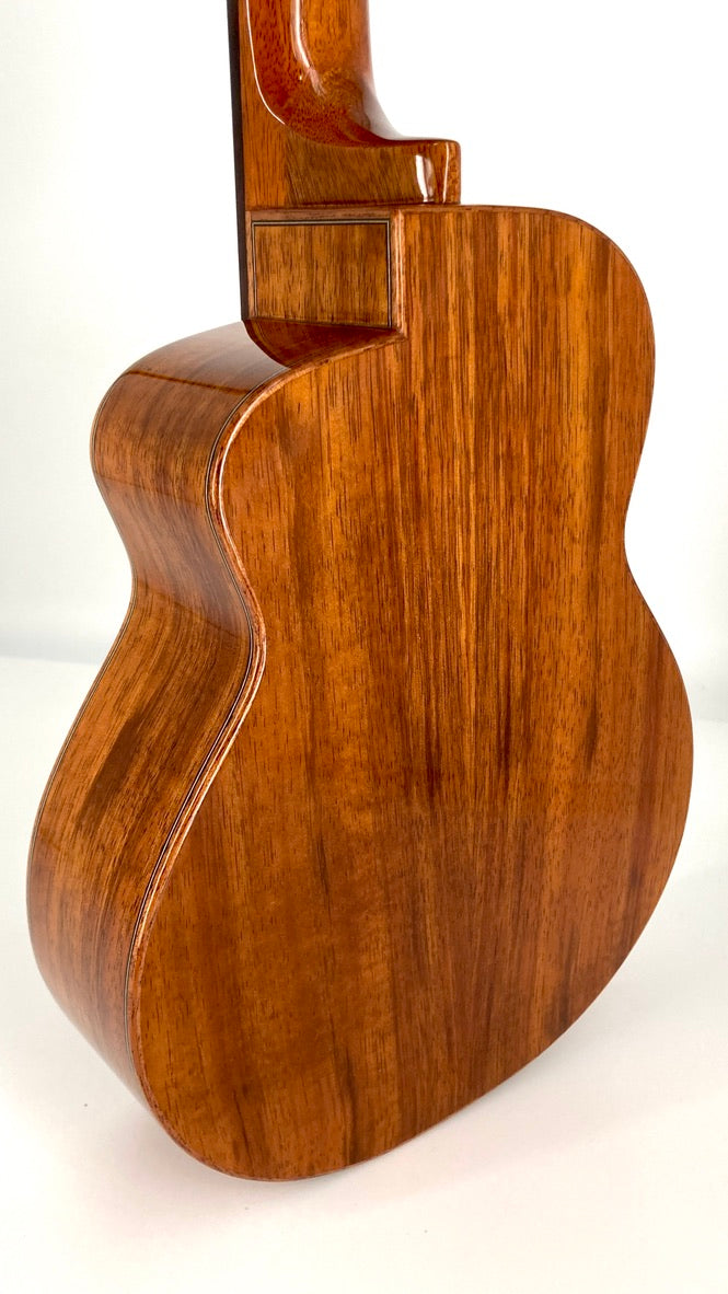 aNueNue UC1K Bird Concert