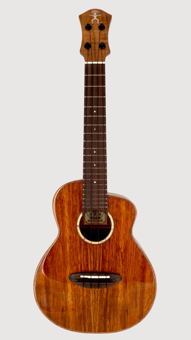aNueNue UC1K Bird Concert