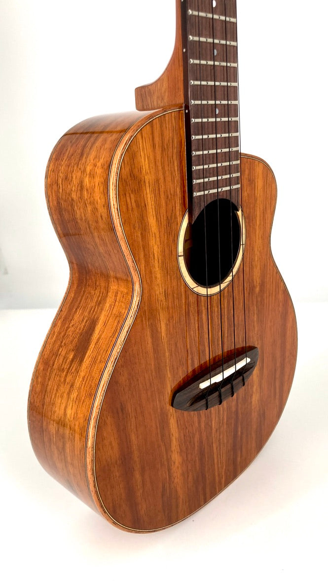 aNueNue UC1K Bird Concert