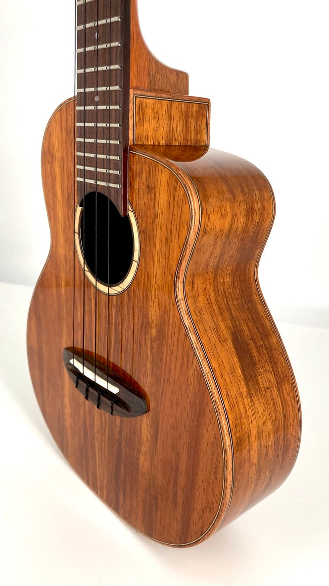 aNueNue UC1K Bird Concert