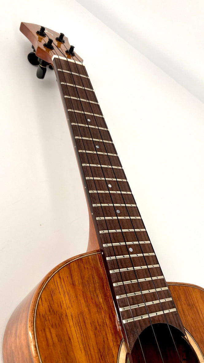 aNueNue UC1K Bird Concert