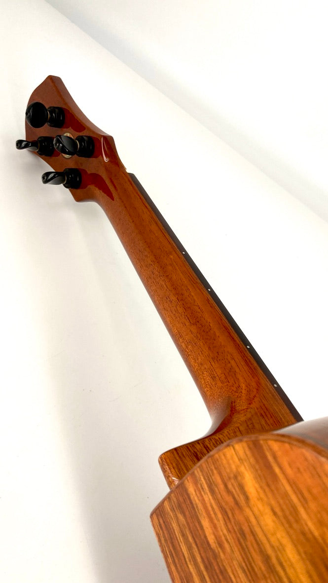 aNueNue UC1K Bird Concert