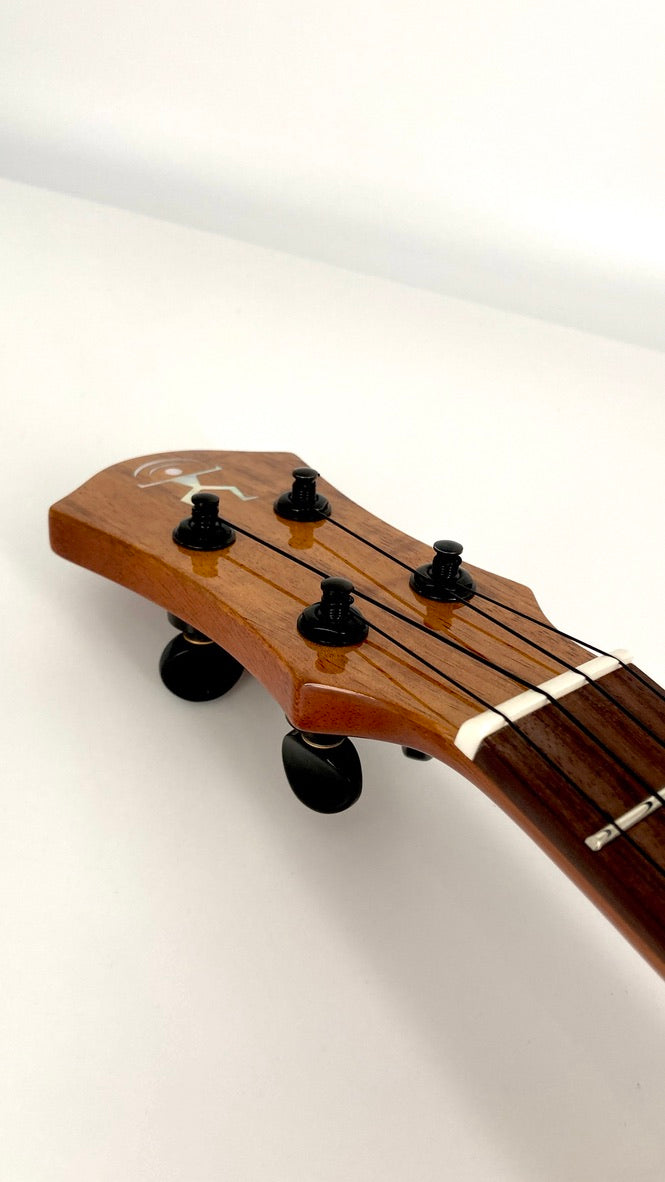 aNueNue UC1K Bird Concert