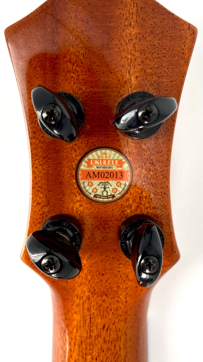 aNueNue UC1K Bird Concert