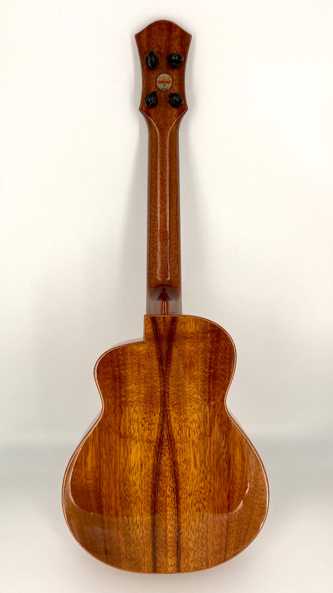 aNueNue UC1K Bird Concert