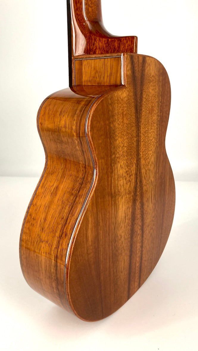 aNueNue UC1K Bird Concert