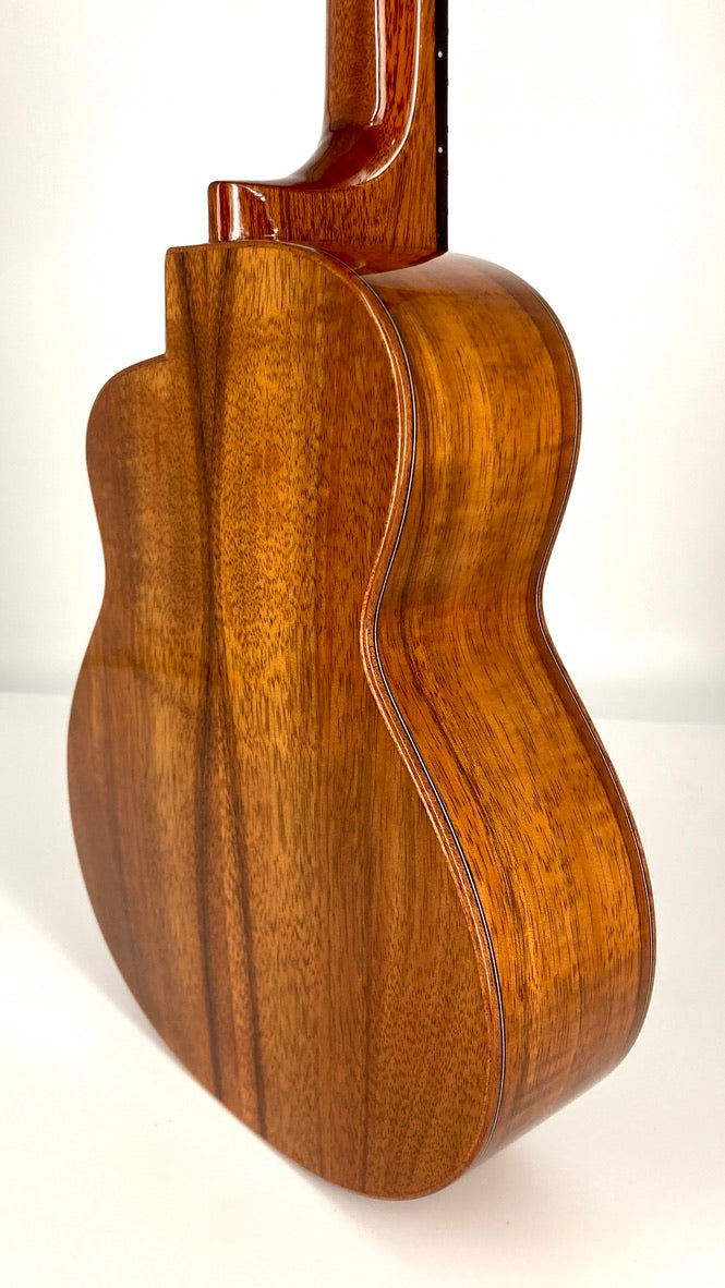 aNueNue UC1K Bird Concert