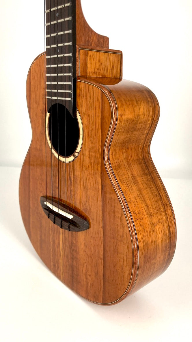 aNueNue UC1K Bird Concert