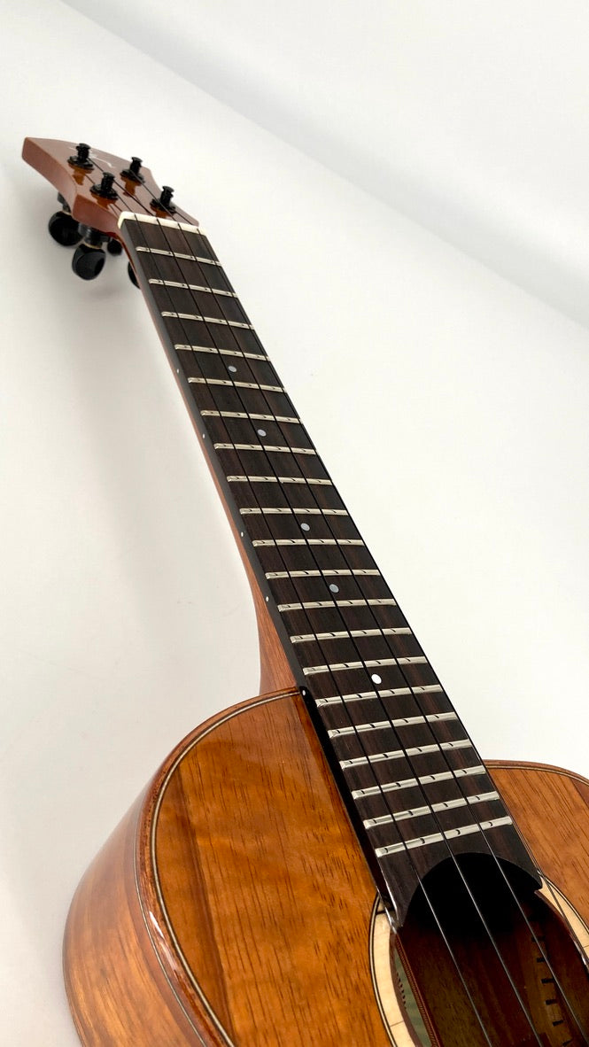 aNueNue UC1K Bird Concert