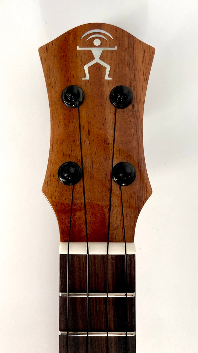 aNueNue UC1K Bird Concert